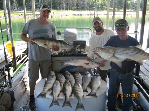 Nice Striped Bass